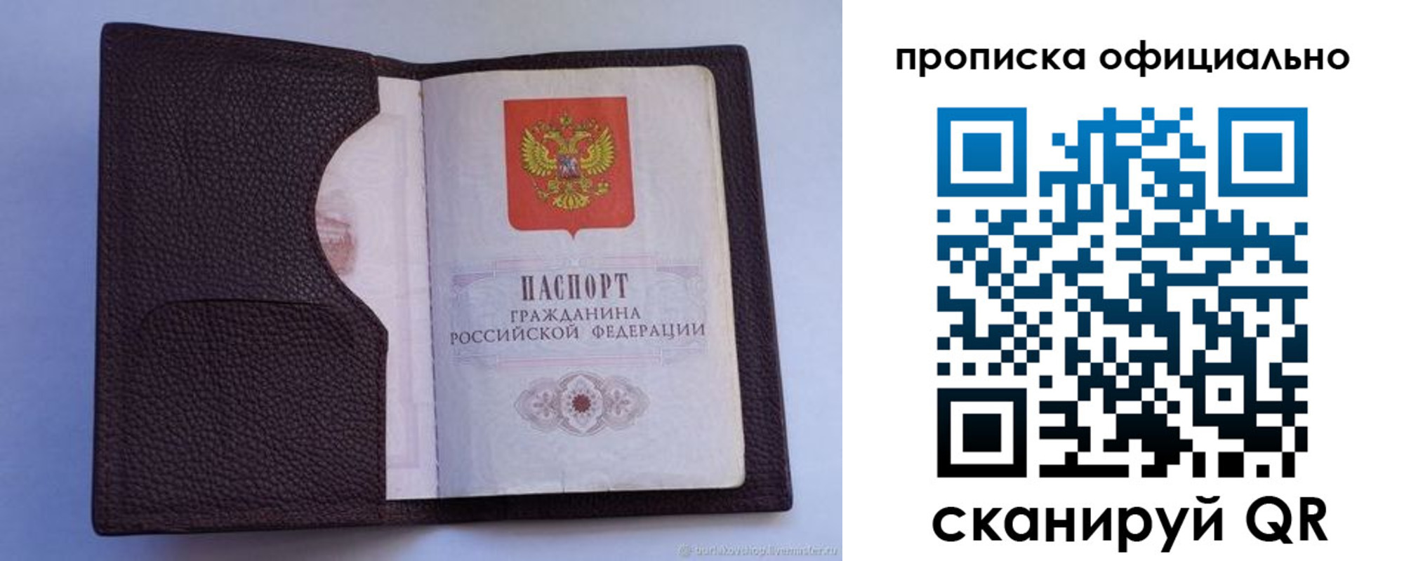 купить прописку в Борзе